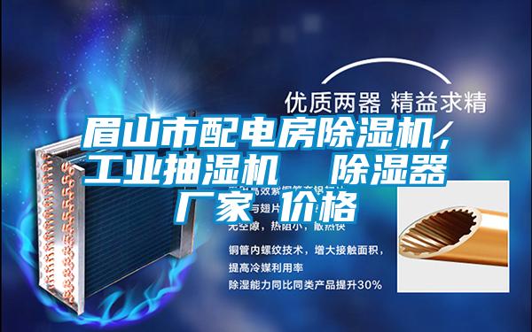 眉山市配電房除濕機，工業抽濕機  除濕器廠家 價格