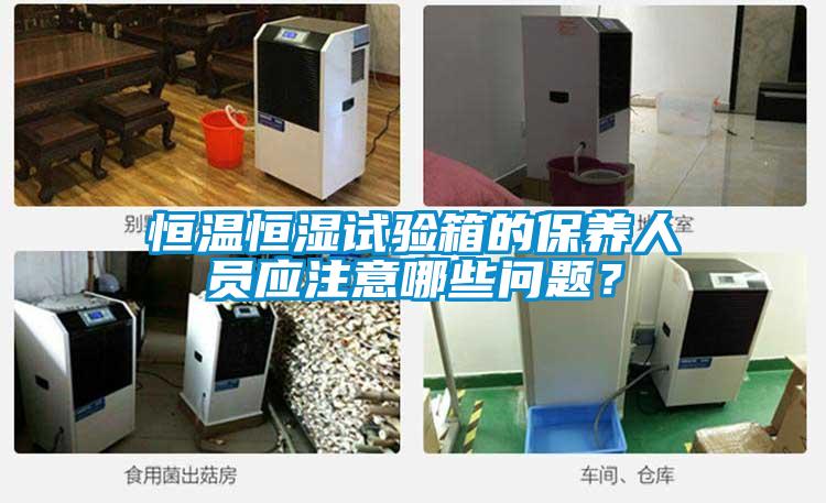 恒溫恒濕試驗箱的保養(yǎng)人員應(yīng)注意哪些問題？