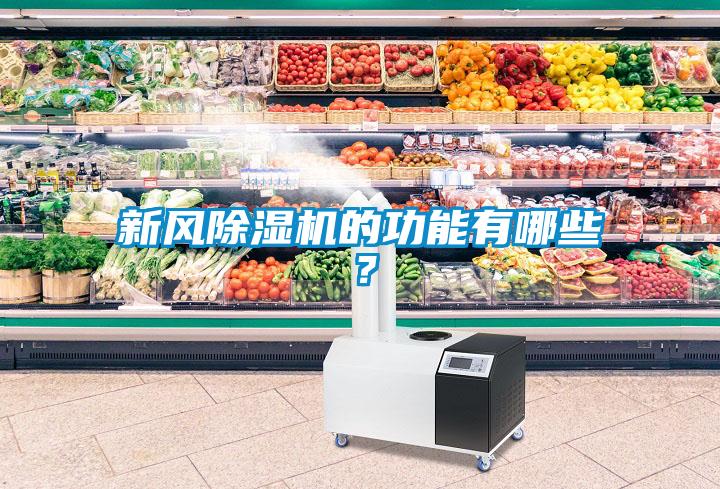 新風(fēng)除濕機的功能有哪些？
