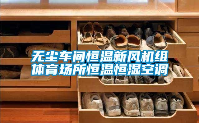 無塵車間恒溫新風(fēng)機(jī)組體育場所恒溫恒濕空調(diào)