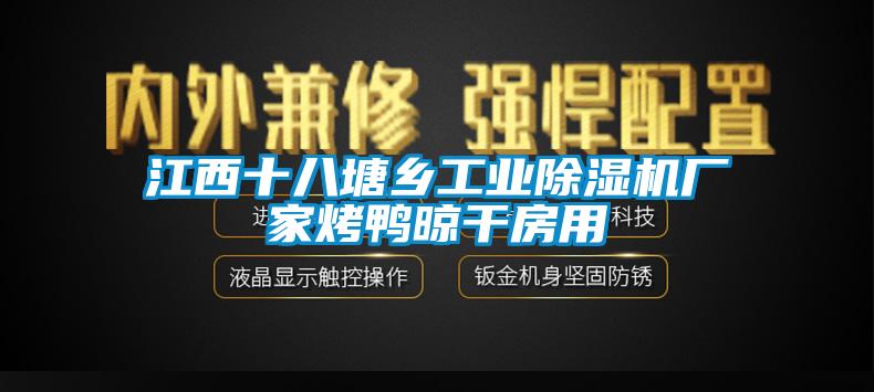 江西十八塘鄉工業除濕機廠家烤鴨晾干房用