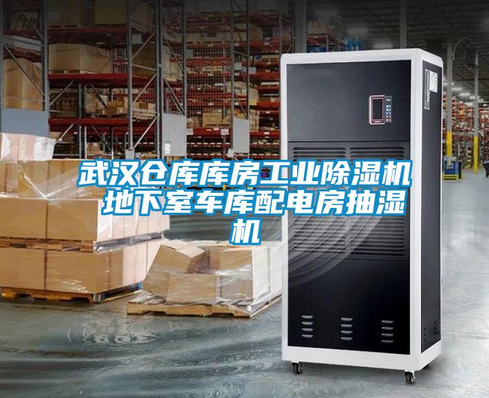 武漢倉庫庫房工業除濕機 地下室車庫配電房抽濕機