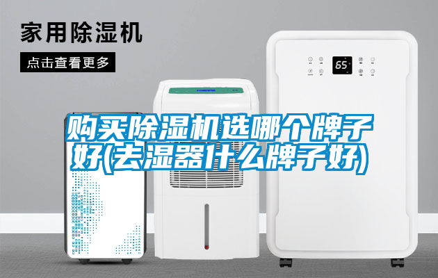購買除濕機(jī)選哪個牌子好(去濕器什么牌子好)