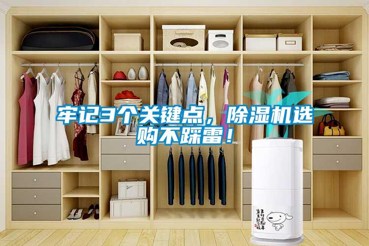 牢記3個關鍵點，除濕機選購不踩雷！