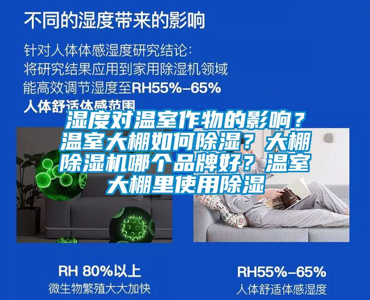濕度對溫室作物的影響？溫室大棚如何除濕？大棚除濕機哪個品牌好？溫室大棚里使用除濕