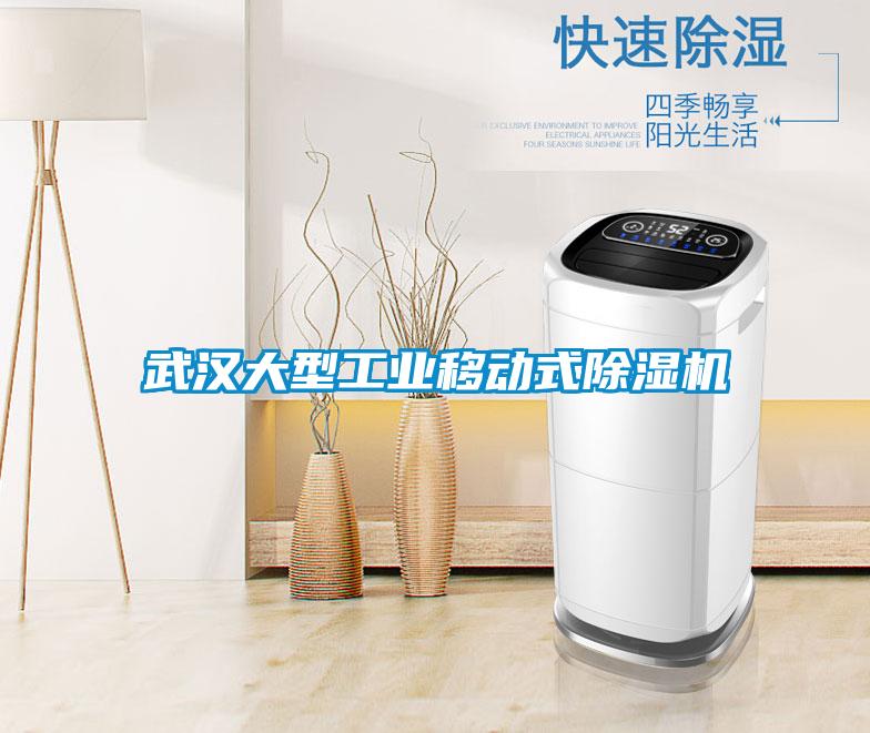 武漢大型工業(yè)移動式除濕機