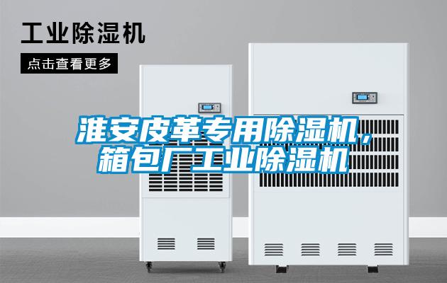 淮安皮革專用除濕機(jī)，箱包廠工業(yè)除濕機(jī)