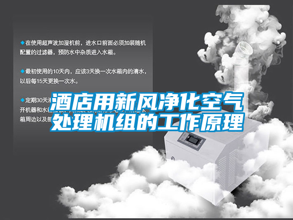 酒店用新風(fēng)凈化空氣處理機組的工作原理