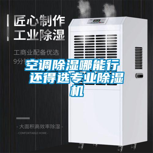 空調除濕哪能行 還得選專業除濕機