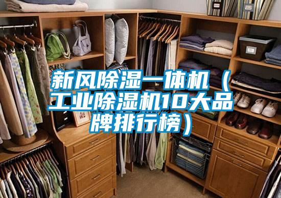 新風除濕一體機（工業除濕機10大品牌排行榜）