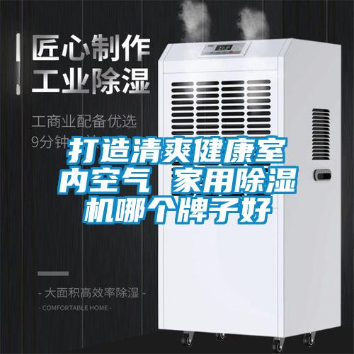 打造清爽健康室內(nèi)空氣 家用除濕機哪個牌子好