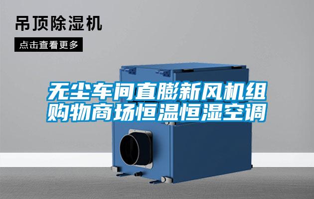 無塵車間直膨新風機組購物商場恒溫恒濕空調