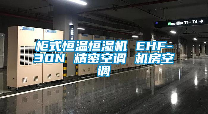 柜式恒溫恒濕機 EHF-30N 精密空調 機房空調