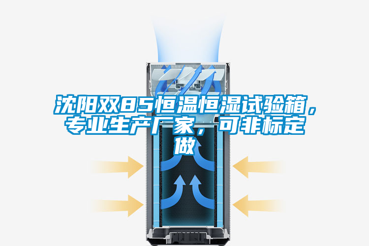 沈陽雙85恒溫恒濕試驗箱，專業生產廠家，可非標定做