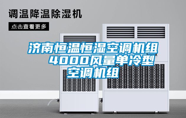 濟南恒溫恒濕空調(diào)機組  4000風(fēng)量單冷型空調(diào)機組