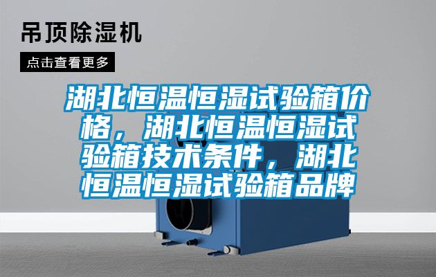 湖北恒溫恒濕試驗箱價格，湖北恒溫恒濕試驗箱技術條件，湖北恒溫恒濕試驗箱品牌