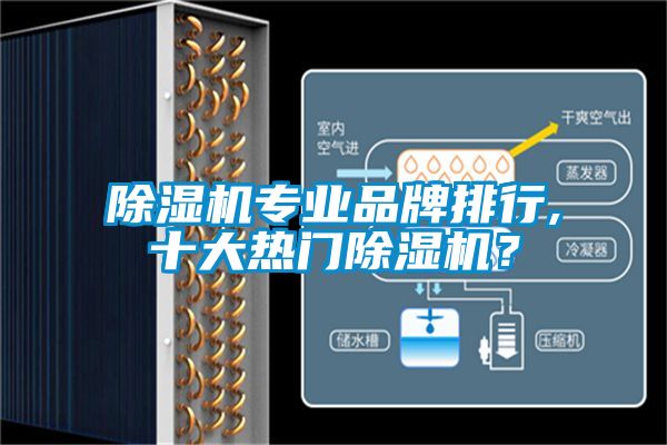 除濕機專業(yè)品牌排行,十大熱門除濕機？