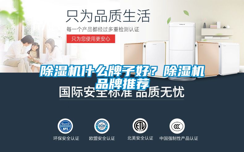 除濕機(jī)什么牌子好？除濕機(jī)品牌推薦