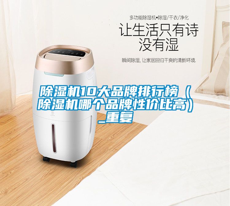 除濕機10大品牌排行榜（除濕機哪個品牌性價比高）_重復(fù)