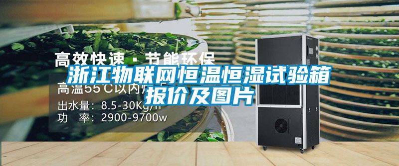 浙江物聯網恒溫恒濕試驗箱報價及圖片