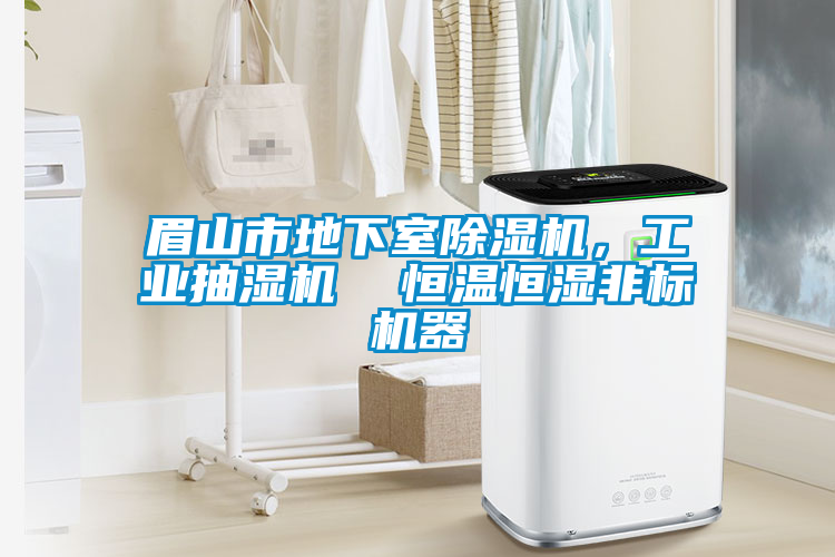 眉山市地下室除濕機(jī)，工業(yè)抽濕機(jī)  恒溫恒濕非標(biāo)機(jī)器