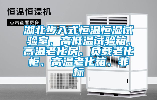湖北步入式恒溫恒濕試驗室、高低溫試驗箱、高溫老化房、負載老化柜、高溫老化箱、非標