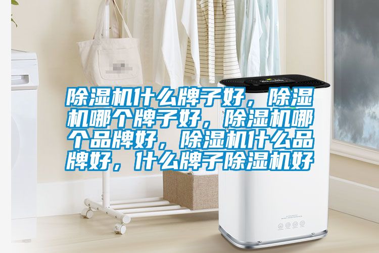除濕機(jī)什么牌子好，除濕機(jī)哪個(gè)牌子好，除濕機(jī)哪個(gè)品牌好，除濕機(jī)什么品牌好，什么牌子除濕機(jī)好