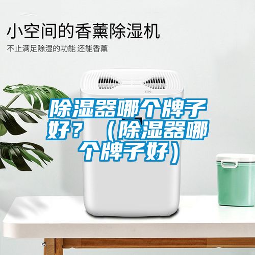 除濕器哪個牌子好？（除濕器哪個牌子好）