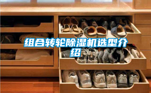 組合轉輪除濕機選型介紹