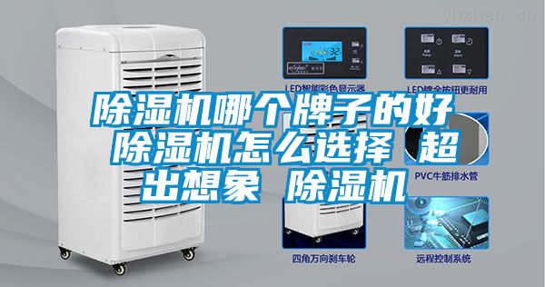 除濕機(jī)哪個(gè)牌子的好 除濕機(jī)怎么選擇 超出想象 除濕機(jī)