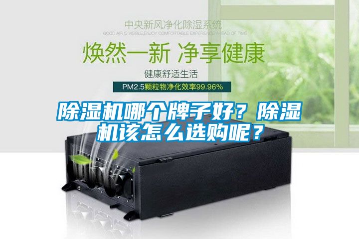除濕機(jī)哪個(gè)牌子好？除濕機(jī)該怎么選購呢？