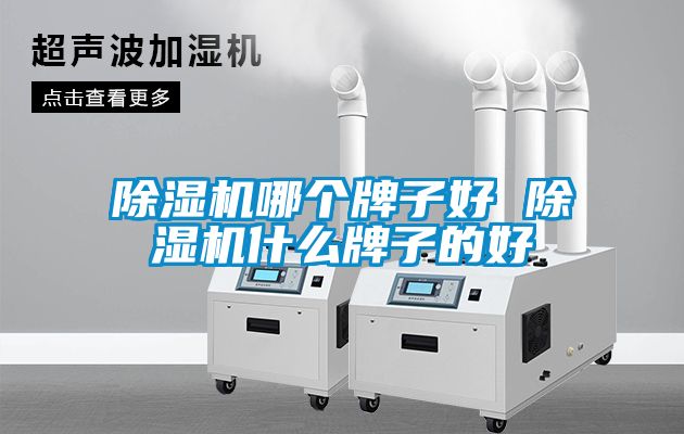 除濕機(jī)哪個(gè)牌子好 除濕機(jī)什么牌子的好