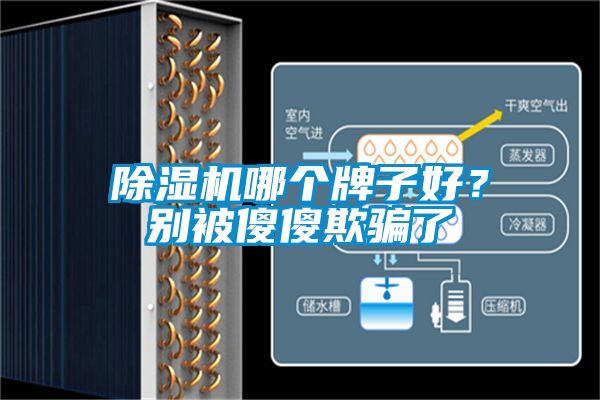 除濕機哪個牌子好？別被傻傻欺騙了
