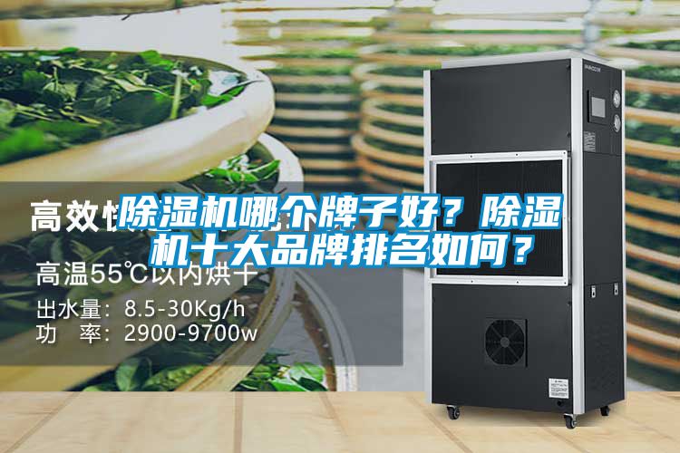 除濕機哪個牌子好？除濕機十大品牌排名如何？