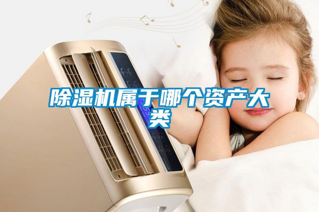 除濕機屬于哪個資產大類