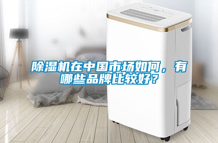 除濕機在中國市場如何，有哪些品牌比較好？