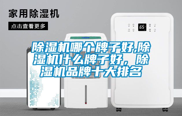 除濕機(jī)哪個(gè)牌子好,除濕機(jī)什么牌子好，除濕機(jī)品牌十大排名