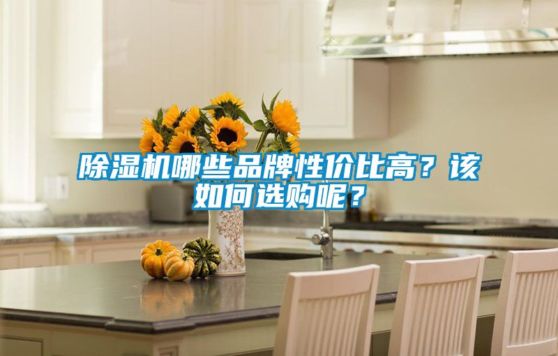除濕機哪些品牌性價比高？該如何選購呢？