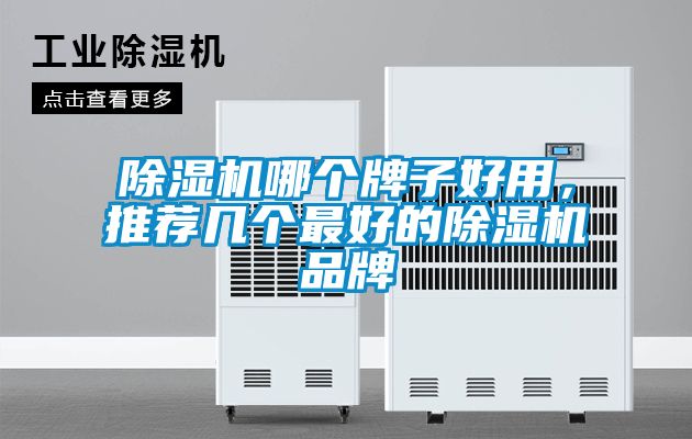 除濕機(jī)哪個(gè)牌子好用，推薦幾個(gè)最好的除濕機(jī)品牌