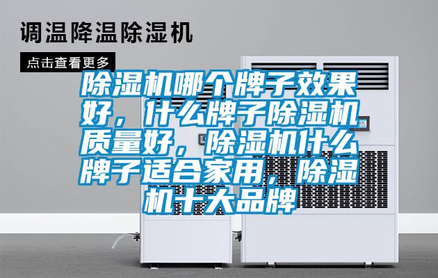 除濕機(jī)哪個(gè)牌子效果好，什么牌子除濕機(jī)質(zhì)量好，除濕機(jī)什么牌子適合家用，除濕機(jī)十大品牌