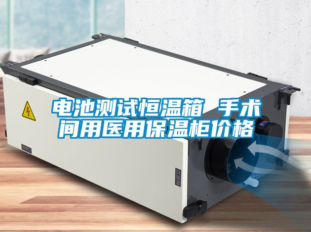 電池測試恒溫箱 手術(shù)間用醫(yī)用保溫柜價格