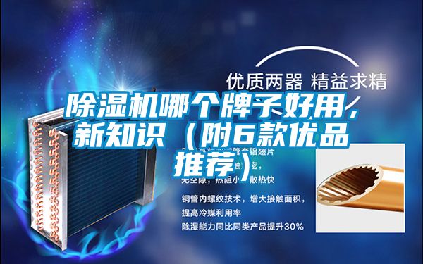 除濕機哪個牌子好用，新知識（附6款優品推薦）