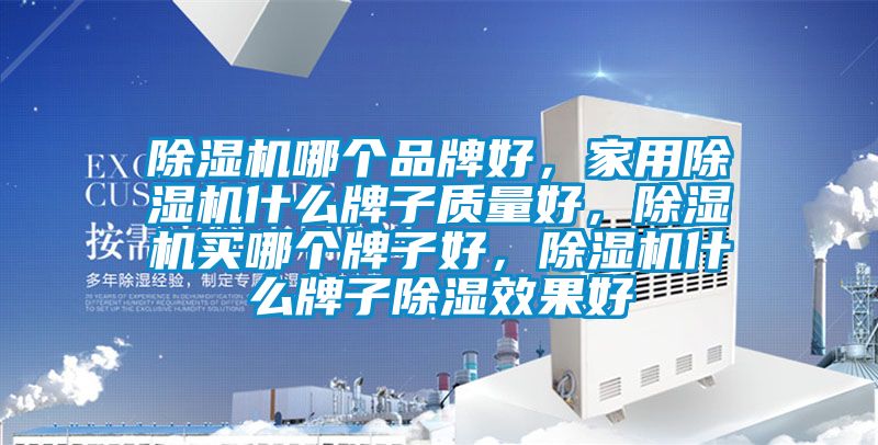 除濕機哪個品牌好，家用除濕機什么牌子質量好，除濕機買哪個牌子好，除濕機什么牌子除濕效果好