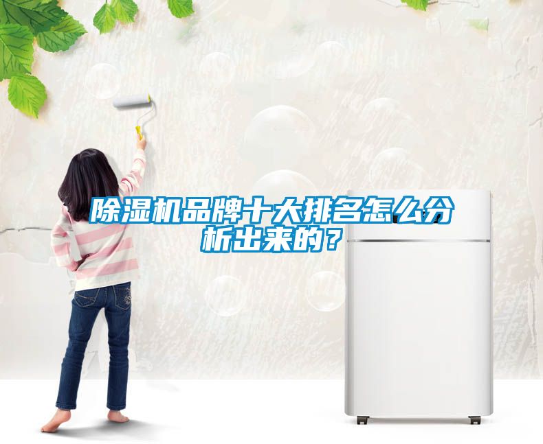除濕機(jī)品牌十大排名怎么分析出來(lái)的？