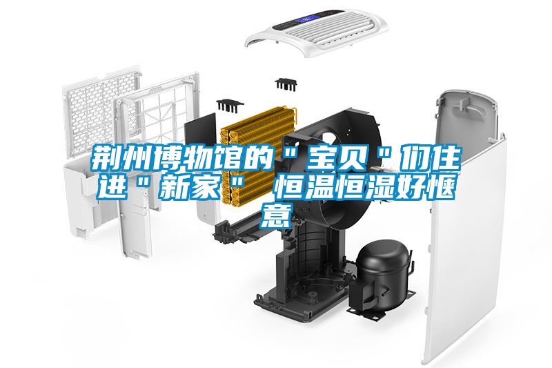 荊州博物館的＂寶貝＂們住進＂新家＂ 恒溫恒濕好愜意