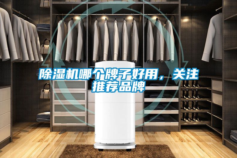 除濕機哪個牌子好用，關注推薦品牌