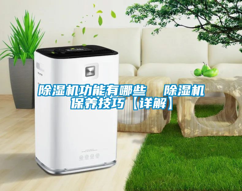 除濕機功能有哪些  除濕機保養技巧【詳解】