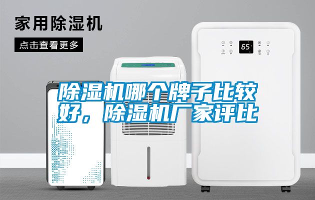 除濕機哪個牌子比較好，除濕機廠家評比