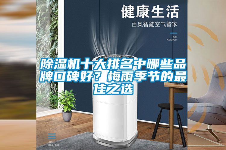 除濕機十大排名中哪些品牌口碑好？梅雨季節的最佳之選