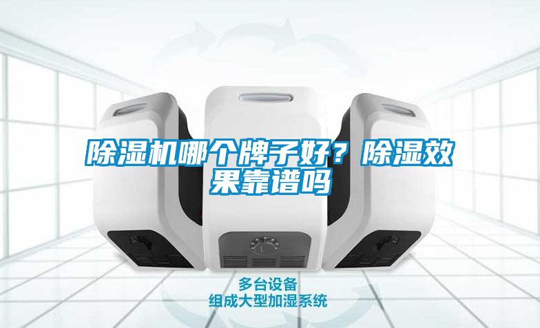 除濕機(jī)哪個(gè)牌子好？除濕效果靠譜嗎